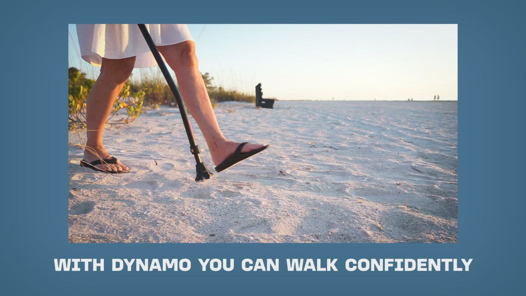Dynamo cyclone canes